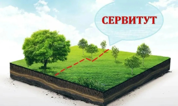 Внимание! Установление публичного сервитута!