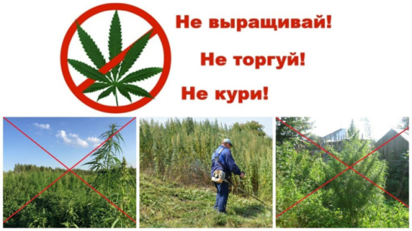 Памятка Наркотики