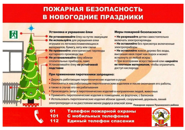 Памятка новогодние праздники