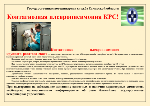 Памятка контагиозная плевропневмония КРС
